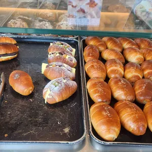 키스톤 스피시즈 사진