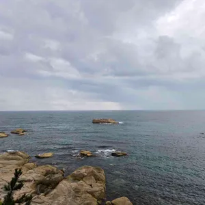 바다담다 리뷰 사진