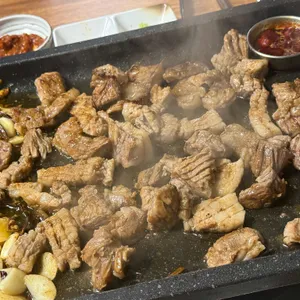 춤추는돼지 사진