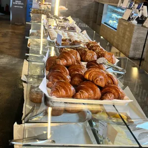 마고플레인 사진