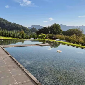 포레포라 리뷰 사진