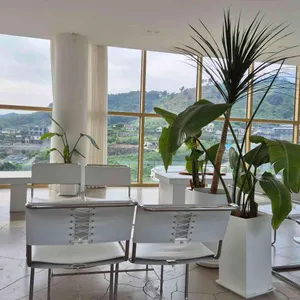 포레포라 리뷰 사진