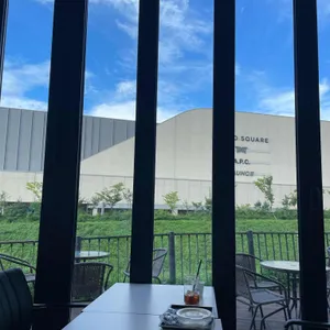 헨지 리뷰 사진