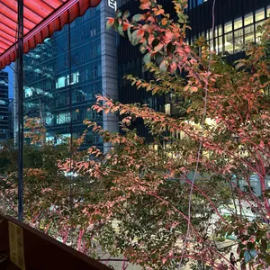 베타서비스 리뷰 사진