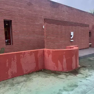 피카커피 리뷰 사진