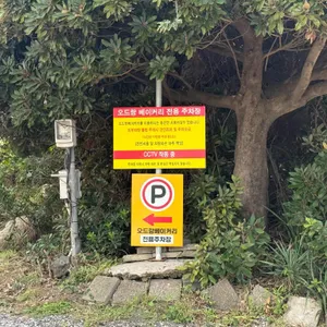 오드랑베이커리 리뷰 사진