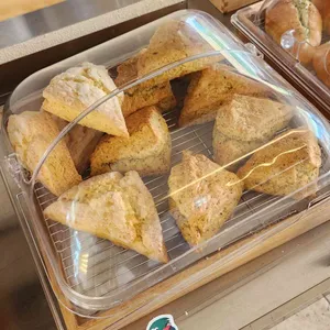 그리네 오아시스 사진