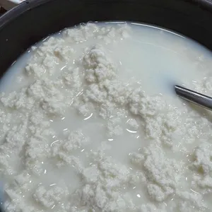 동화가든 사진