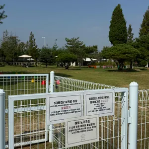 댕그린 리뷰 사진