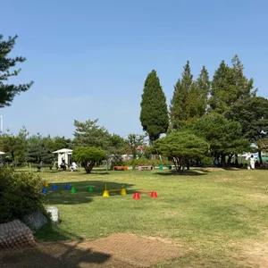 댕그린 리뷰 사진