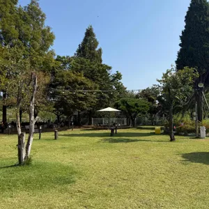 댕그린 리뷰 사진