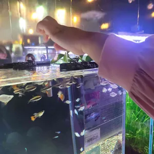 작은연못 리뷰 사진