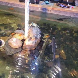 작은연못 리뷰 사진