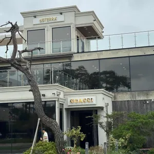 까치카페 리뷰 사진