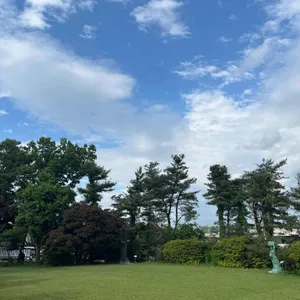 더숲 소전미술관 리뷰 사진