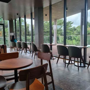 스타벅스 리뷰 사진