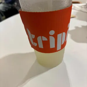 트리핀 코레일라운지 사진