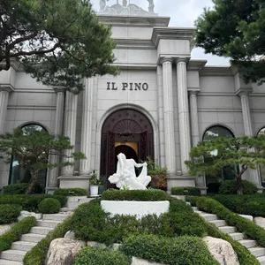 일 피노 사진