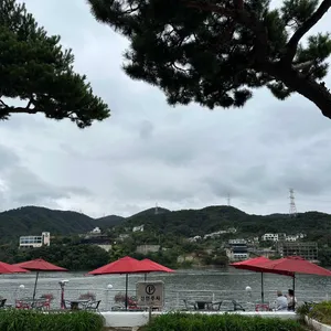 일 피노 대표 사진