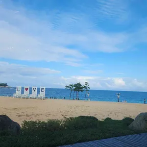 오하스 리뷰 사진