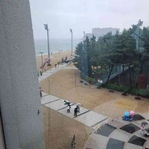 웨일라잇 리뷰 사진