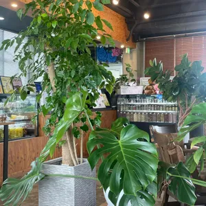 플로라 카페 리뷰 사진