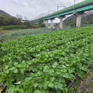 대운한우국밥 리뷰 사진