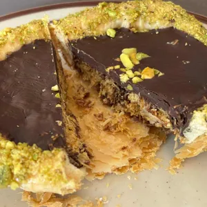 브레니파이칸틴 사진