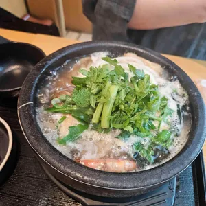송 사진 2
