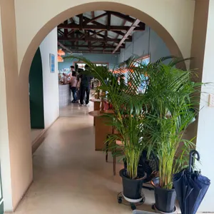 오차현 리뷰 사진