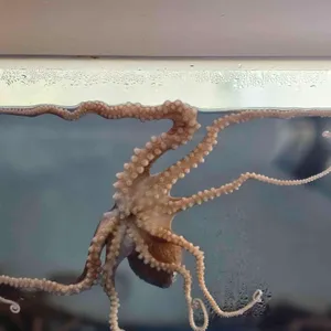 동락식당 리뷰 사진