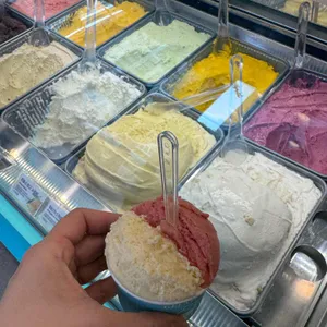 젤라또 조이 사진 1