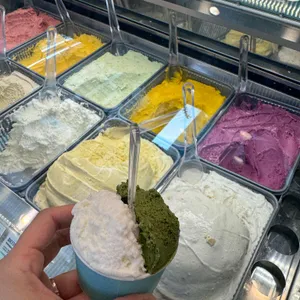 젤라또 조이 사진