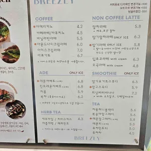 브리즐리 리뷰 사진