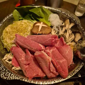 코이비토 사진