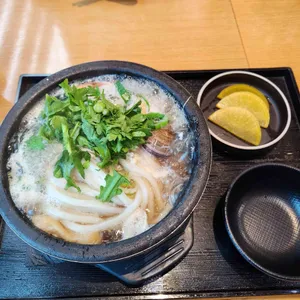 송 사진 1