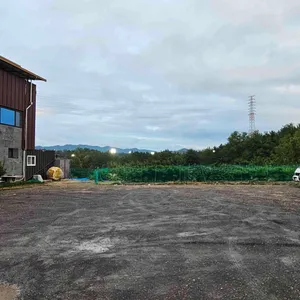 황금식당 리뷰 사진