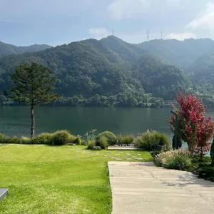 골든트리 리뷰 사진