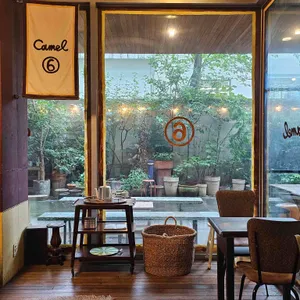 카멜 리뷰 사진