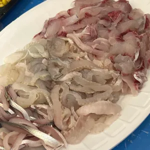 등대회초장 사진