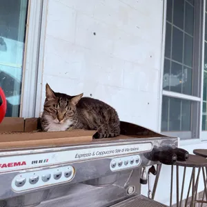 선베드 카페 리뷰 사진