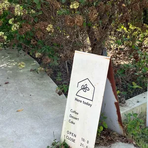 오늘여기 사진 1