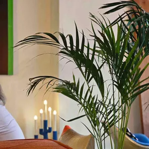 b2 프로젝트 리뷰 사진