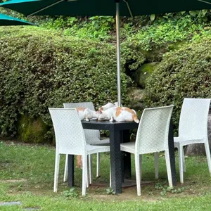 유정1995 리뷰 사진