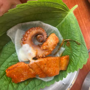 쭈꾸미도사 사진