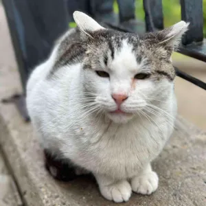 에스프레소앤랩 리뷰 사진