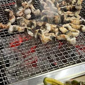 이가장어 사진