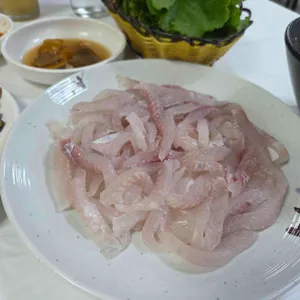 짱활어 사진
