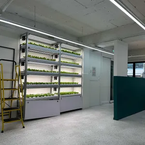 하루포케 리뷰 사진