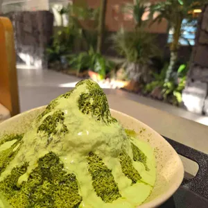 미제리 사진 1